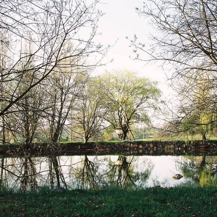 L'étang des Bertaulières